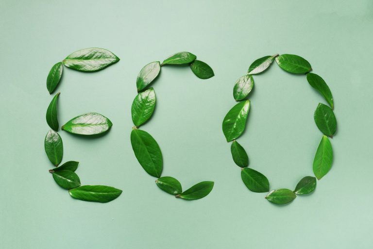 Word Eco made of leaves on green background. Top view. Flat lay. Ecology, eco friendly planet and